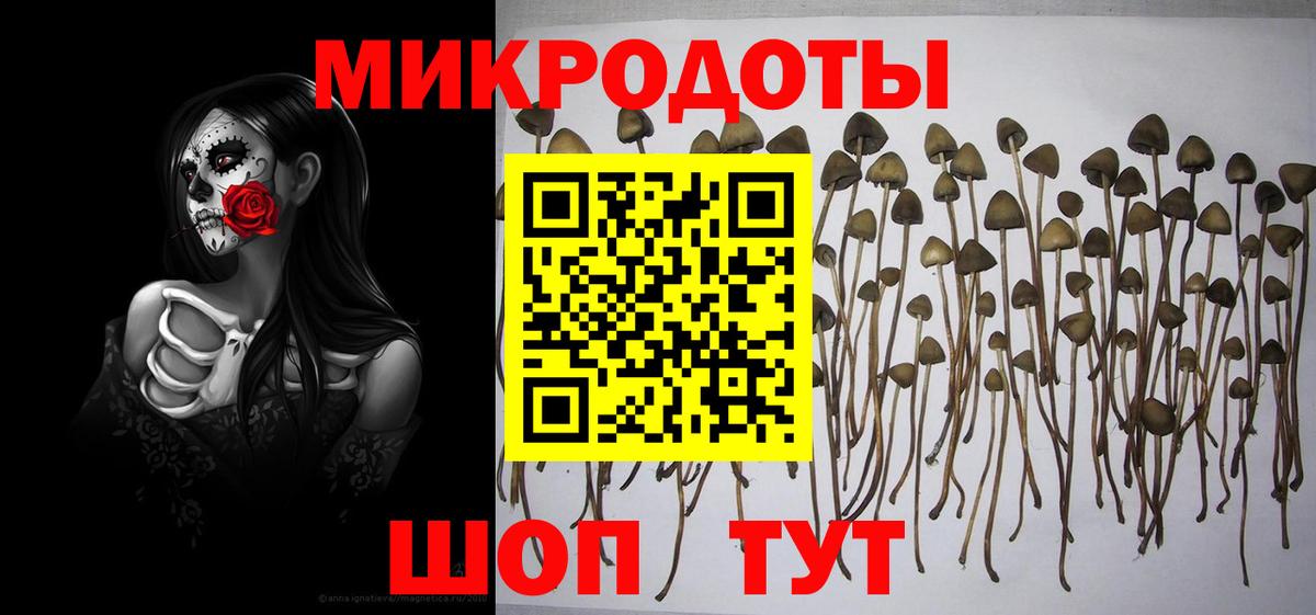 Урюпинск  где купить наркоту  Псилоцибиновые грибы мухоморы  Вход с VPN  Псилоцибиновые грибы Psilocybe 