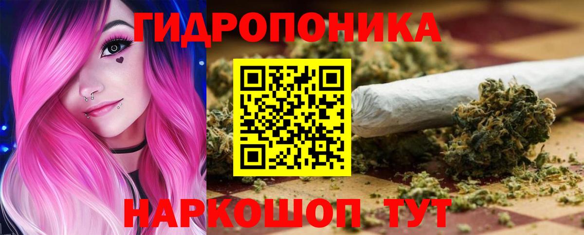 Бошки марихуана марихуана  МАРИХУАНА сатива  Марихуана Bruce Banner  Урюпинск 